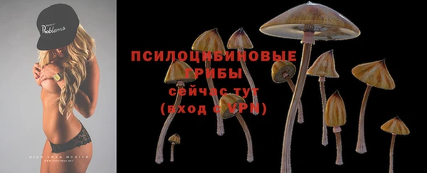 прущие крисы Арсеньев