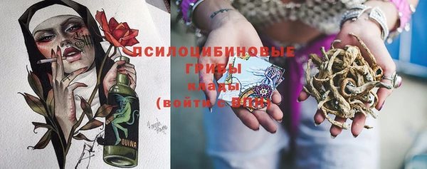 прущая мука Армянск