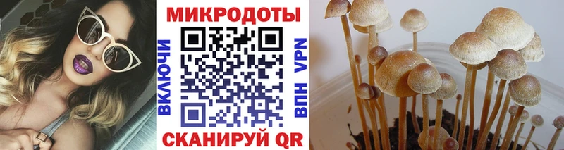 Псилоцибиновые грибы мухоморы Сковородино